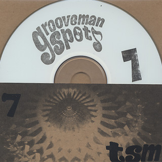 grooveman Spot / The Stolen Moments Vol.7 (CD), The Stolen Moments