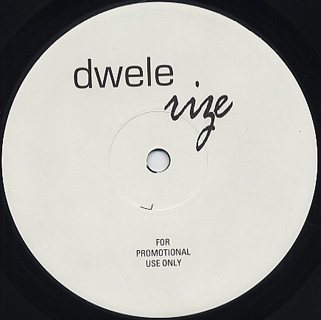 Dwele / Rize (LP), White | 中古レコード通販 大阪 Root Down Records 